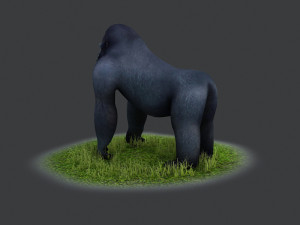 Bush chimpanzees silverback Primate Forest Animal Ape collection 3D Model