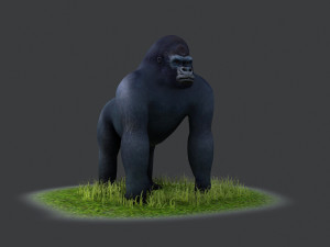Bush chimpanzees silverback Primate Forest Animal Ape collection 3D Model