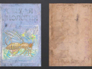 school books ussr 3D Model