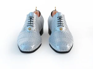 mens footwear - 2 3D Model