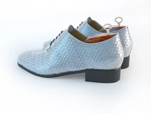 mens footwear - 2 3D Model