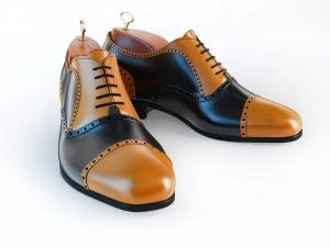 mens footwear - 2 3D Model