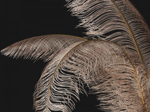 decorative set corona vray Modello 3D
