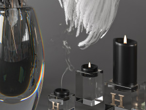 feathers decorative set coronarenderer - vray Model 3D