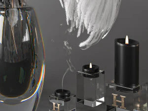 feathers decorative set coronarenderer - vray 3D Model