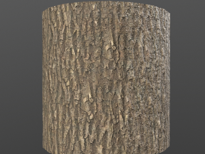 Tree Material Texturas CG