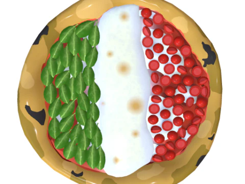 Collection Pizza - 18 Pizze stylis&eacute;es Modèle 3D