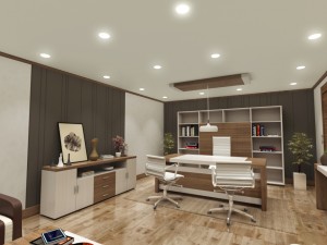 executive manager room 3D Model