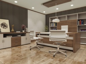 executive manager room 3D Model