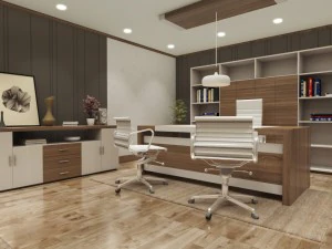 executive manager room 3D Model