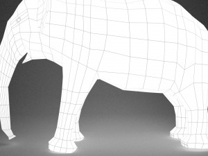 elephant - base model with skeleton Modello 3D
