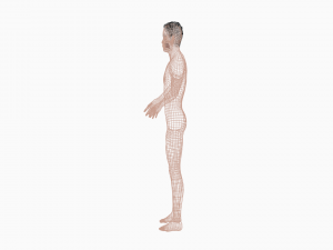 man 3D Model