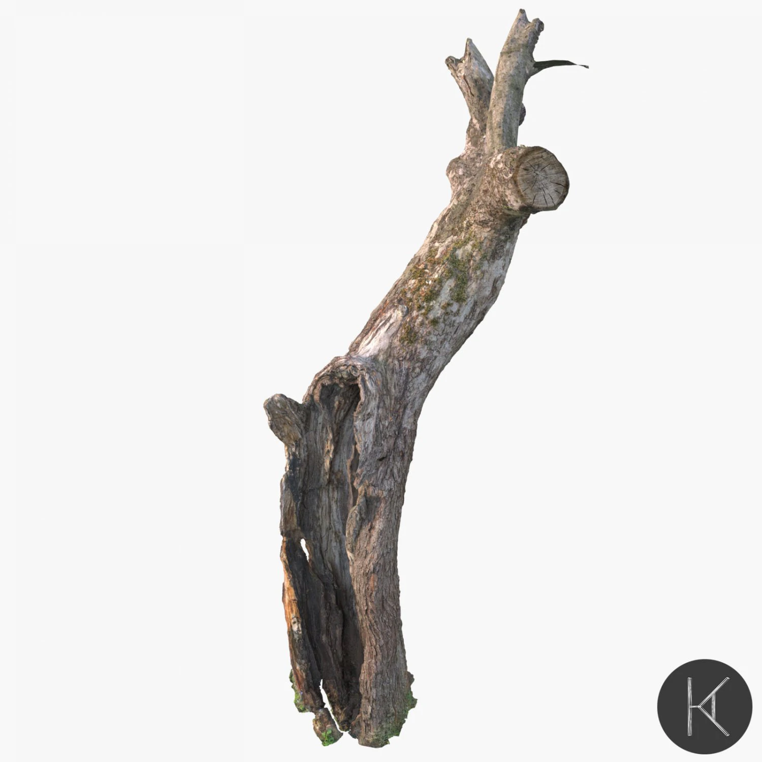 dead tree 3D Model .c4d .max .obj .3ds .fbx .stl .blend 