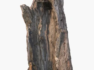 dead tree 3D Model