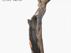 dead tree 3Dモデル