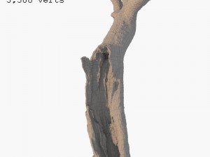 dead tree 3Dモデル