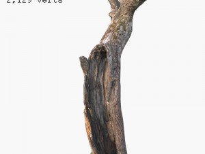 dead tree 3Dモデル