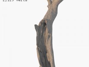 dead tree 3Dモデル