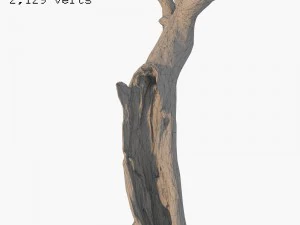 dead tree 3D Model