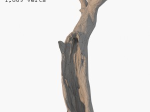 dead tree 3Dモデル