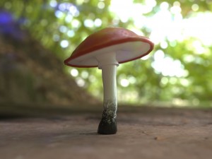 low poly mushroom 3D मॉडल