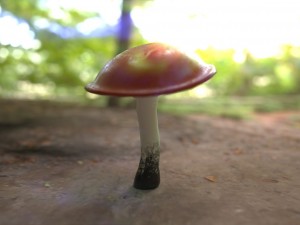 low poly mushroom 3D Model