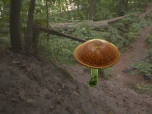 low poly mushroom 3D Model
