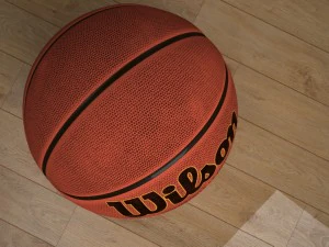 basketball 3D Model
