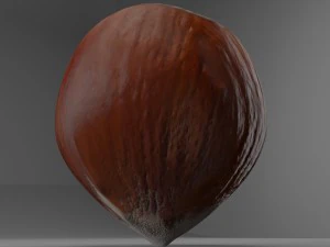 hazelnut 3D Model