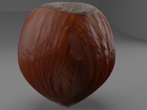 hazelnut 3D 模型