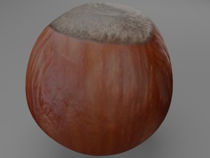 hazelnut 3D 模型