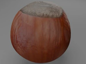 hazelnut 3D Model