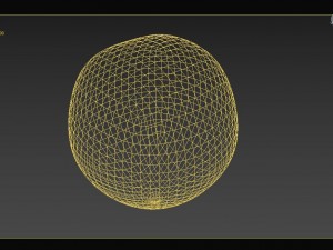 hazelnut 3D 模型