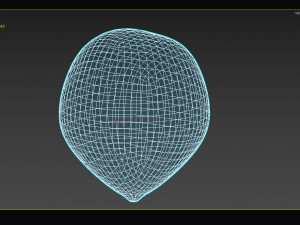 hazelnut 3D 模型