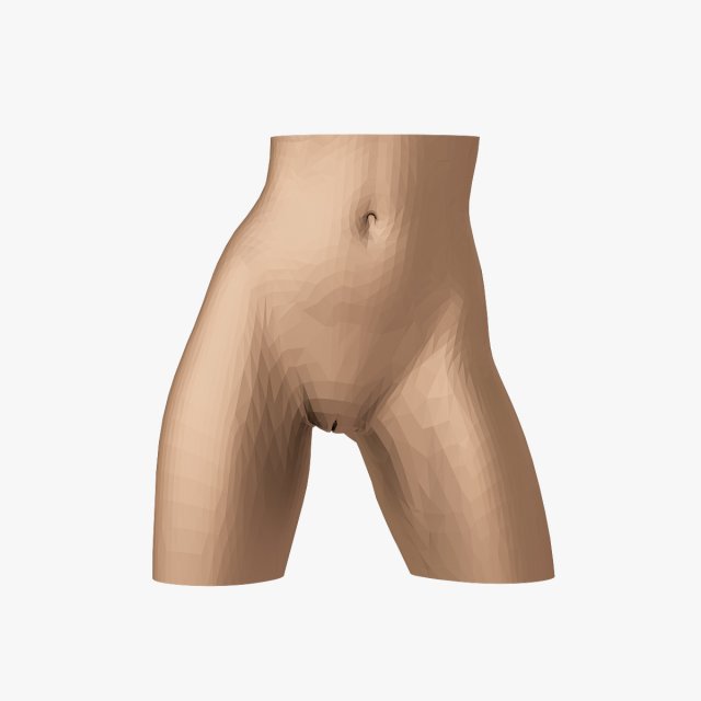 Female waist 3D 打印模型 .c4d .max .obj .3ds .fbx .stl .blend 