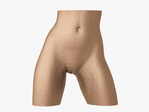 Kadın bel 3D Baskı Modeli
