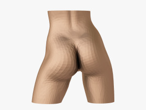Female waist 3D 打印模型