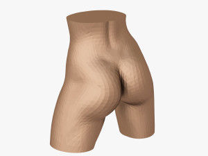 Female waist 3D 打印模型