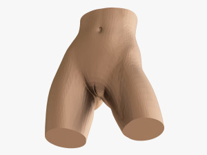 Female waist 3D 打印模型