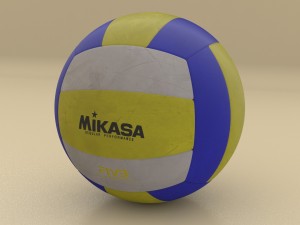professional volleyball 3D Model