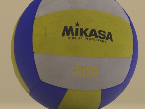 professional volleyball 3D Model