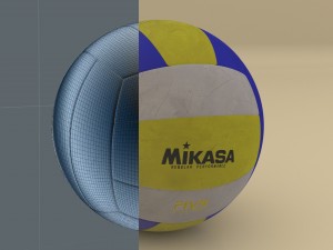 professional volleyball 3D Model