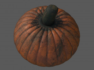 realistic pumpkin 3D 모델