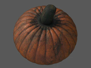 realistic pumpkin 3D Model
