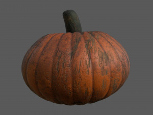 realistic pumpkin 3D 모델