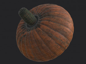 realistic pumpkin 3D 모델