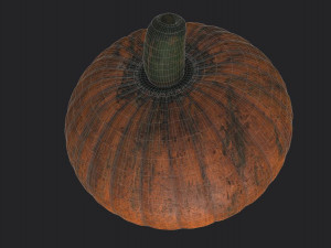 realistic pumpkin 3D 모델