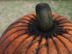 realistic pumpkin 3D Model