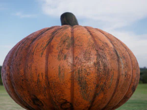 realistic pumpkin 3D Model