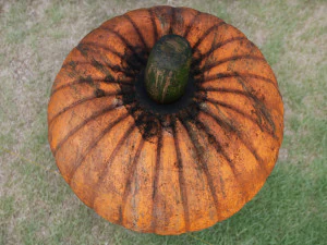 realistic pumpkin 3D Model